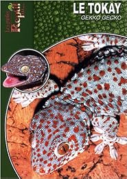 Le  tokay, gekko, gecko
