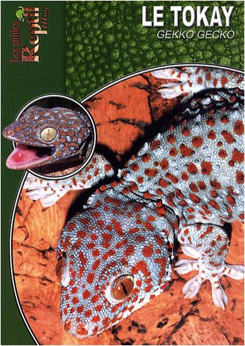 Le  tokay, gekko, gecko