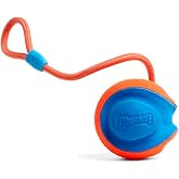 Chuckit! Rope Fetch Dog Toy, Ball on Rope, Durable EVA Rubber, 5.5-in | 18-In Rope Toy Doubles as a Fetch and Tug-of-War Toy for Dogs, Built in a Durable Orange and Blue Design for Play