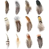 200pcs 10 Style Natural Feathers Assorted Mixed 10 Styles - 200 Pcs 200pcs 10 Style Natural Feathers Assorted Mixed 10 Styles - 200 Pcs