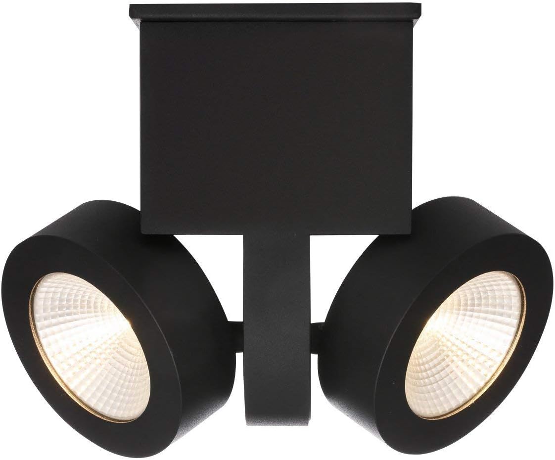 Runnly Modern Ceiling Light Flush Mount Track Spot Lighting With