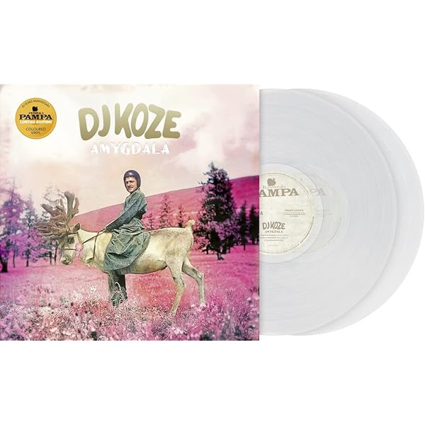 DJ Koze - Knock Knock - Amazon.com Music