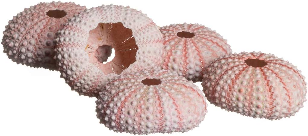 Get Nautischthemenorientiertes spiegel For Android