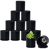 D'vine Dev 12 Pack 3 Inch Mini Plastic Plant Pots, Small Garden Planters for Plant with Drainage Holes and Saucers, Black Color, 74-Y-C-4