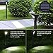 Hallomall Solar Lights Outdoor, Solar Path Lights with Motion Sensor, Solar Landscape Lights or Solar Garden Lights for Yard/Patio/Garden/Walkway/Driveway-2Pack