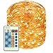LED Copper Wire Lights 99ft/30m 300 LED Light String Dimmable with Remote Control Waterproof Starry Lights for DIY Bedroom Outdoor, Garden, Party, Wedding, Patio, Fairy Tale (Warm White)