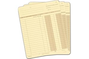EGPCHECKS EGP One Write Ledger Card, 250 Ledgers