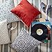Amazon Brand – Stone & Beam Medallion Decorative Throw Pillow, 17