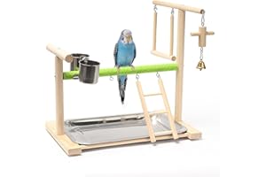 Acsist Birds Playground Parrot Playstand Birds Perch Stand Gym Natural Wood Play Stand with Ladder Swing Feeder Cups for Parakeets Cockatiels Lovebirds Conures Budgies