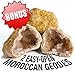 Best Rock Collection. Includes Huge Megalodon Shark Tooth, 2 Large Geodes and 3 LBS. (About 100 specimens) and Identification Chart.