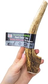Floppy Ear Scottish Deer Antler Dog Chews Medium 90-130g view 2