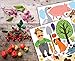 Farm Animal Barnyard Wall Decals for Kids - Farming Baby Room Children Stickers for Toddlers Bedroom - Animal Wall Decor Nursery Art [>40 Art playroom clings] + Free Bird Gift!
