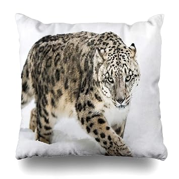 Amazon Com Ahawoso Throw Pillow Cover Square 18x18 Big Frontal