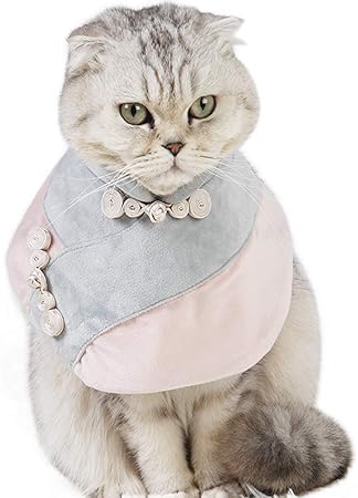 cat bandana amazon