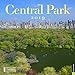 Central Park 2019 Wall Calendar by