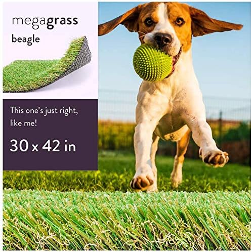 small grass patch for dogs