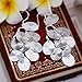 Sterling Silver Plated Drop Dangle Chandelier Hook Earrings L12