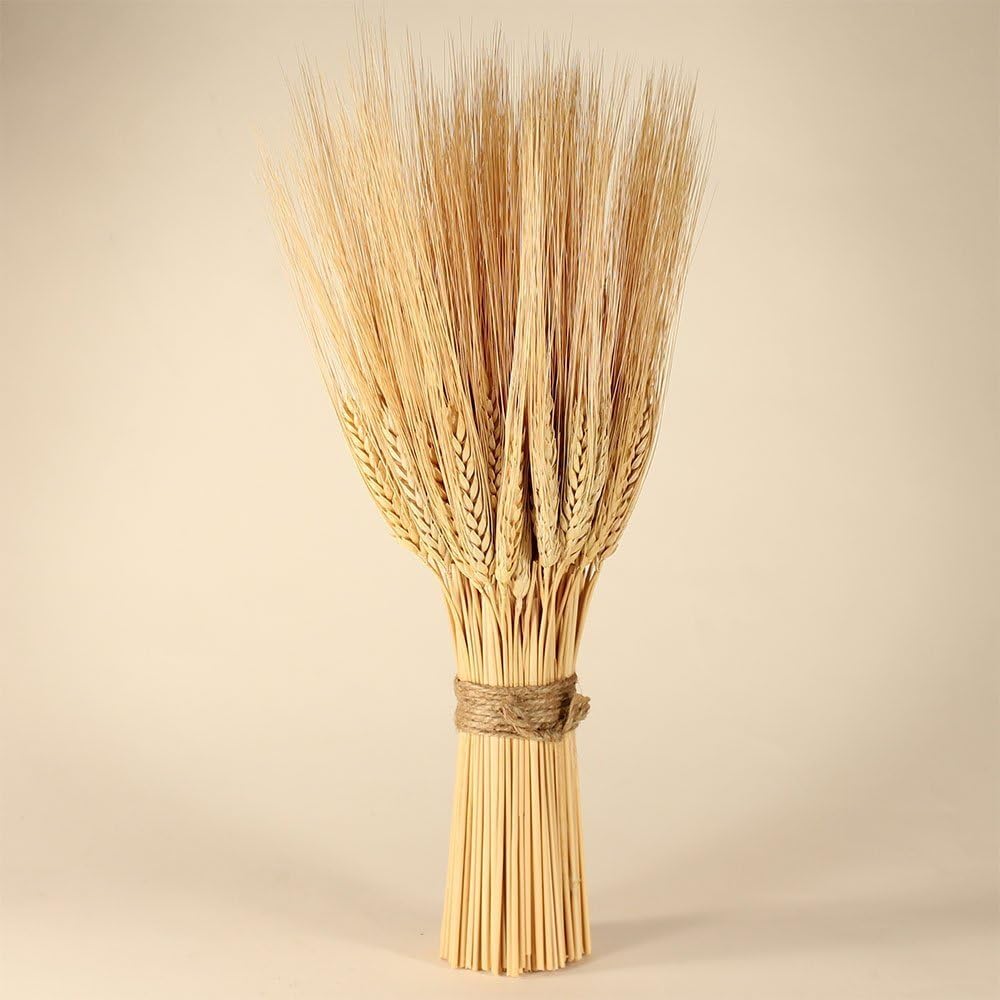 Golden Wheat Sheaves Home & Kitchen