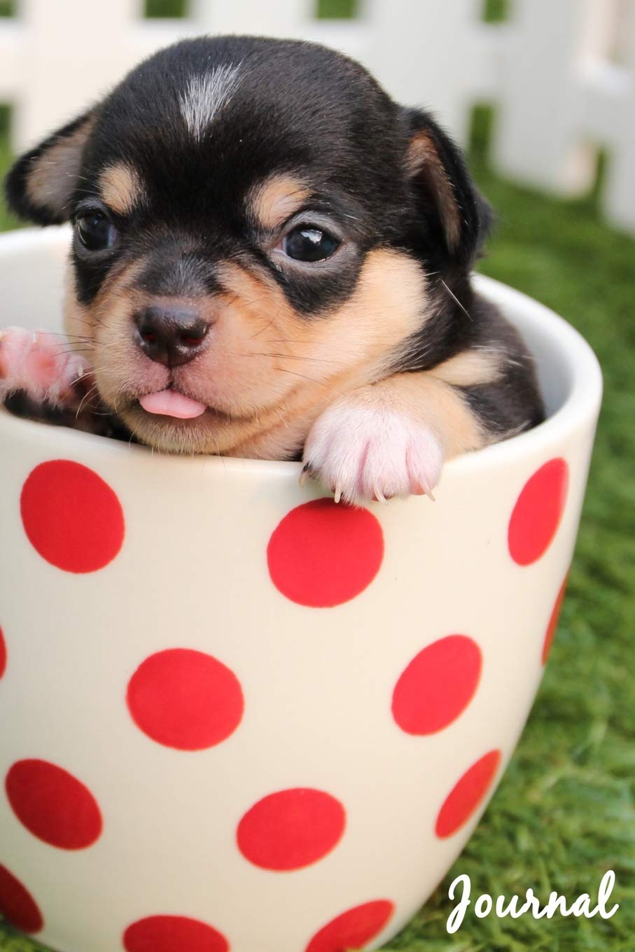 pugs in a cup