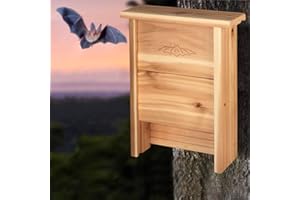 LANGXINESE Large Bat Houses for Outside Clearance 16"x12" - Cedar Bat Box for Outdoor- Wall Post Pole Mountable - Alaskan Old Gowth Red Cedar - Bat Supplies for Wildlife Enthusiast Choice - Wood Grown in USA!