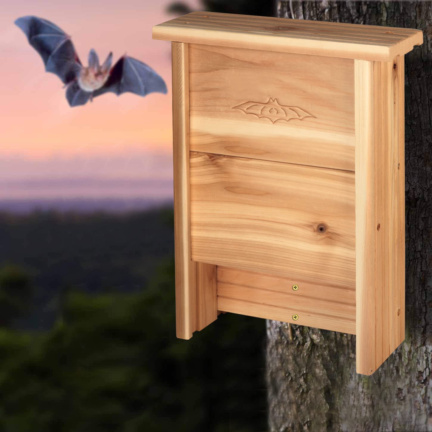 Photo 1 of Large Bat Houses for Outside Clearance 16"x12" - Cedar Bat Box for Outdoor- Wall Post Pole Mountable - Alaskan Old Gowth Red Cedar - Bat Supplies for Wildlife Enthusiast Choice - Wood Grown in USA!
