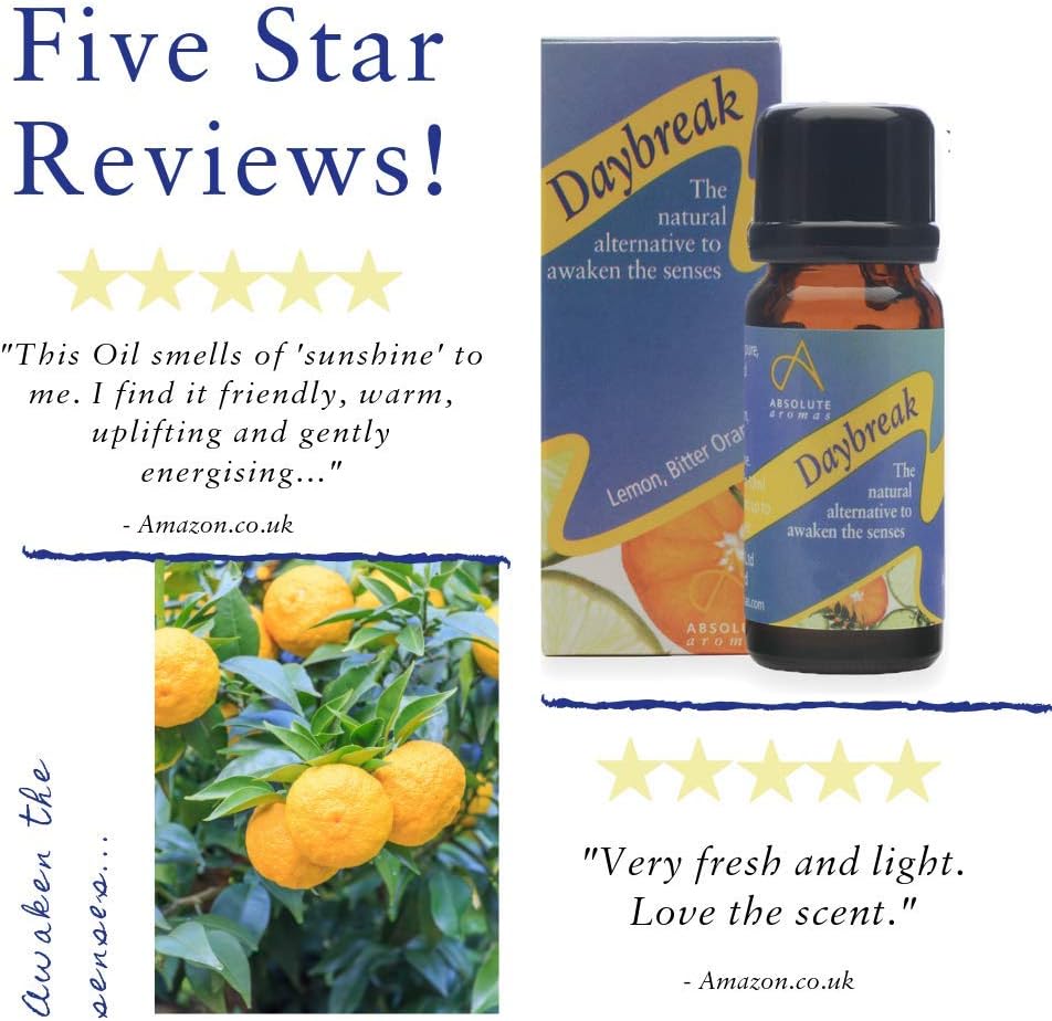 Absolute Aromas Daybreak Essential Oil Blend 10ml with 100% Pure Lemon, Orange, Tangerine & More Essential Oils - Image 5