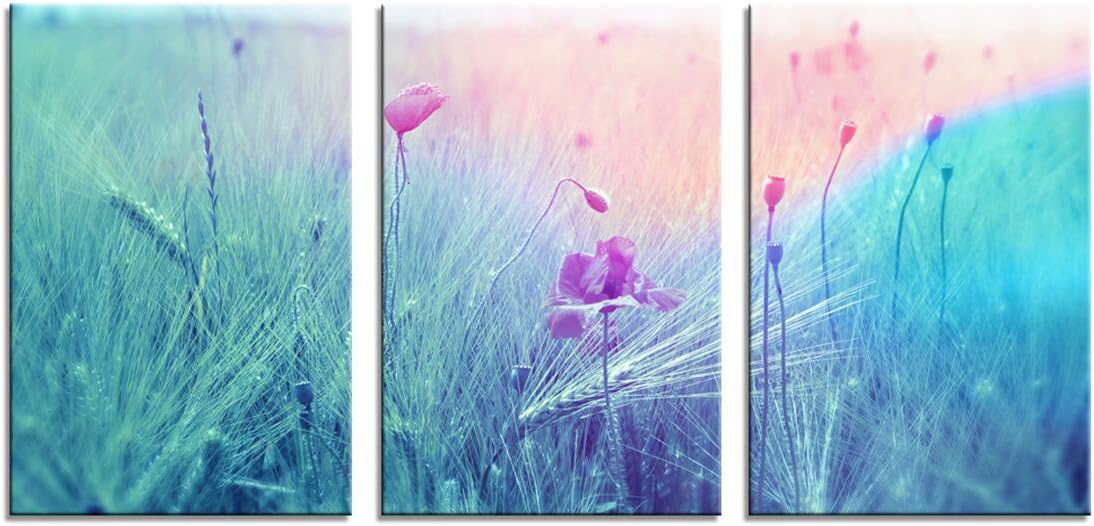 Sports Themed Canvas Print Vintage Dumbbells Painting Set of 3 Photo Panels Fitness Bodybuilding Wall Art Giclee Gym Wall Poster Ready to Hang (Poppies Flower Artwork)