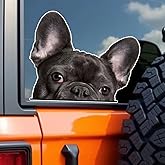 2-Pack 5.51"x4.53" French Bulldog Face Car Decal, Peeking Black Frenchie Dog Vinyl Sticker for Cars, Trucks, Motorcycles, Laptops, Windows, Glass, Walls - Indoor & Outdoor Use #2BZ586