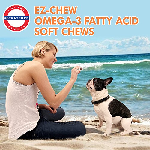 Stratford Pharmaceuticals EZ Chew Omega 3 Fatty Acid Soft Chew Max