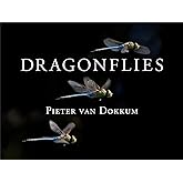 Dragonflies: Magnificent Creatures of Water, Air, and Land