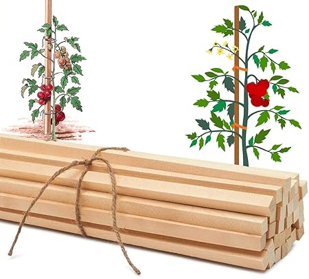 JD Fresh 24 Nos, 3 Feet Bamboo Sticks For Plants Support | Wooden Stick For Creepers And Climbers Plants | Trellis For Climbing Plants | Wood Stick Plant Support For Creeper Plants