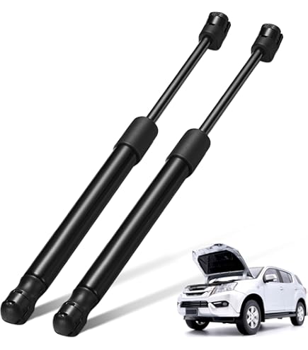 Amazon.com: General Motors 22760388, Hood Lift Support