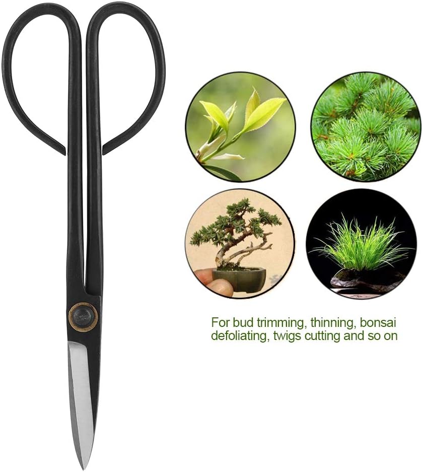 Bonsai Scissors, 205mm Long Handle Scissors Stainless Steel for Pruning Shear Bud Leaves Bonsai Trimming Tool Garden Equipment Set - Image 5