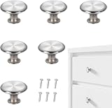 Nuqin 6Pcs Cabinet Knobs Stainless Steel 24mm Diameter 0.94in view 1