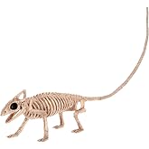 Crazy Bonez Skeleton Lizard