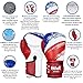Hawk Sports Boxing Gloves for Men & Women MMA Sparring Muay Thai Kickboxing Training Gloves Punching Bag Mitts USA Limited Edition (12 oz, The American Flag)