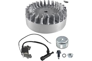 awtetpje Aluminum Flywheel 10krpm With No Rev Limit Ignition Coil For Predator 212cc Hemi Only Engine Mini Bike Go Kart