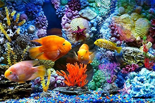CHOIS Custom Films CF3049 Animal Golden Fishes Tank Corals Glass Window Frosted 3' W by 2' H