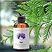 Laritelle Organic Post-Shampoo Hair Strengthening & Scalp Toning Treatment for Men & Women 3 x 2 oz | Fortifying, Strengthening & Rejuvenating | Stops Hair Shedding, Promotes New Hair Growth