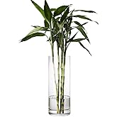 DARENYI Clear Glass Vase for Flowers, 12 inches Tall Cylinder Vase Decorative for Centerpiece, Living Room, Floating Candle, Office, Wedding or Gifts
