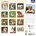 2017 Bulldogs Calendar - 12 x 12 Wall Calendar