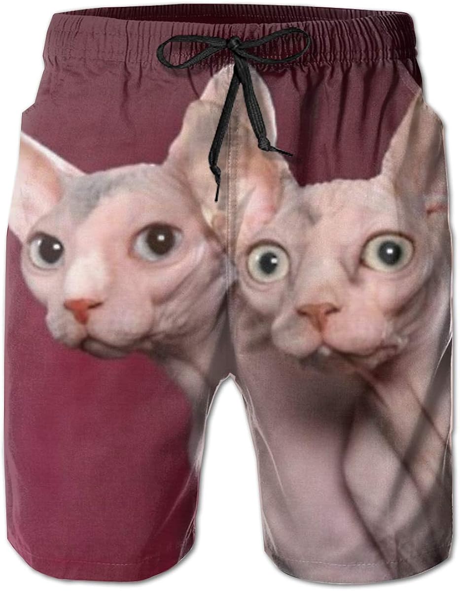 Polyester Canada Hairless Cat Sphynx 