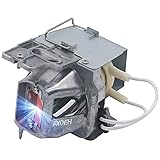 PXOEH A+ Quality BL-FU245A OEM Projector Lamp Bulb