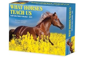What Horses Teach Us 2025 6.2" x 5.4" Box Calendar