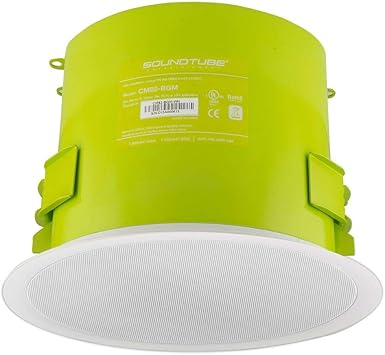 dante ceiling speaker