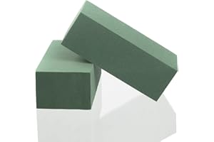 Royal Imports Floral Foam Blocks Wet Dry for Fresh or Artificial Flower Arrangements, Florist Styrafoam Bricks, 2 Pcs, Green
