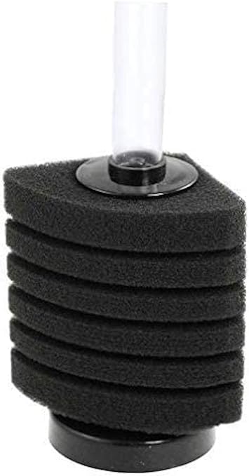 small corner aquarium