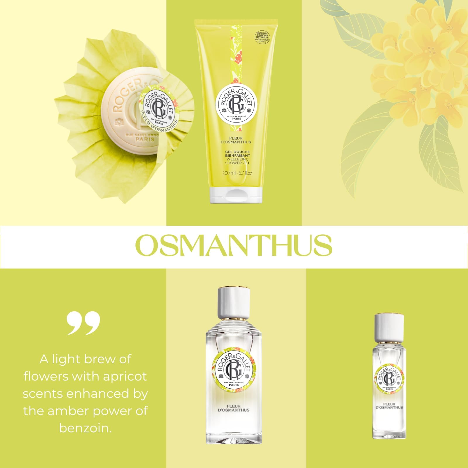 View 6