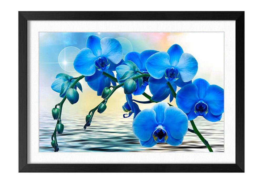 B07dmdggvf 40x60cm 蘭の青い花の胡蝶蘭 ポスター 家の壁の装飾画 木製の枠 ズックの印刷する絵画 風景 最安値に挑戦