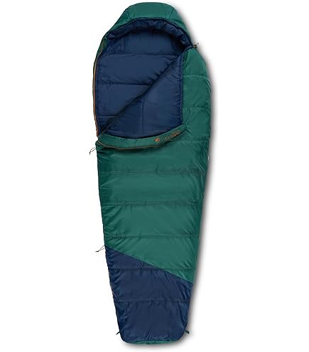 Amazon.com : Kelty Cosmic Synthetic Fill 40 Degree Backpacking